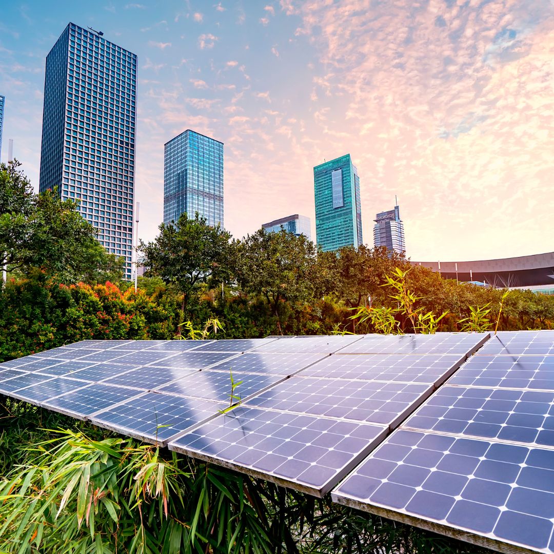 Solar installation featured by Eenovators